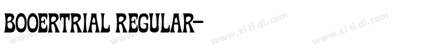 booertrial regular字体转换 booertrial regular字体转换